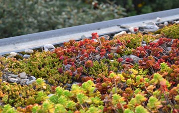 the cost of St Andrews Wood green roof installation