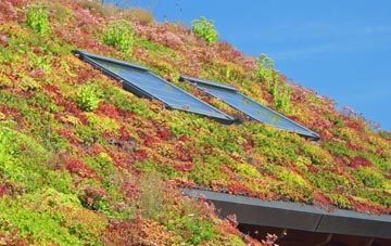 St Andrews Wood living roof systems