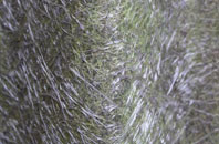 St Andrews Wood fibreglass roof work